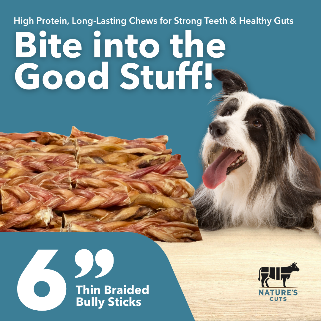 6" Thin Braided Bulk Bully Sticks-1
