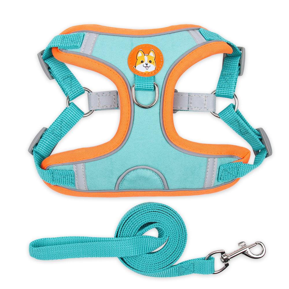 Ultimate Comfort And Safety Pet Harness Set-5