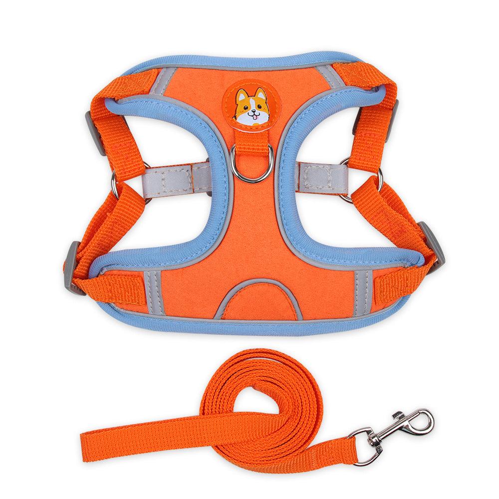 Ultimate Comfort And Safety Pet Harness Set-4